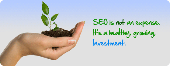 SEO Consulting